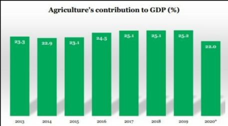 Agriculture's contribution to Nigeria's GDP from 2013 to 2020