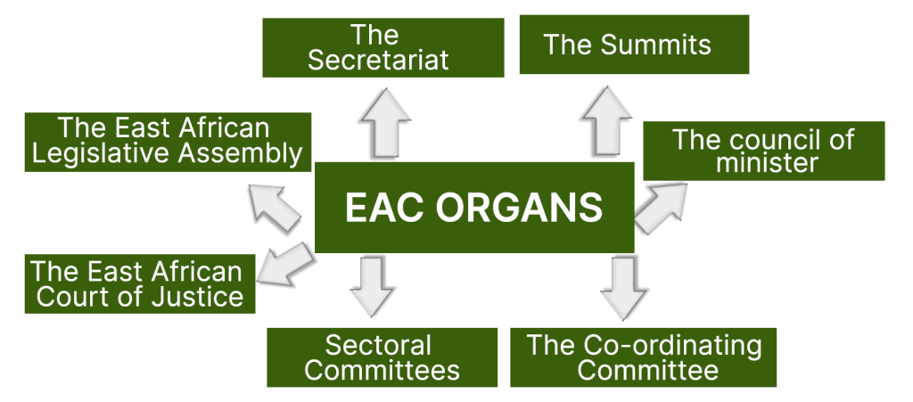EAC Organs